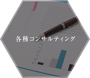 各種コンサルティング Consulting